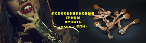 МДПВ Балабаново