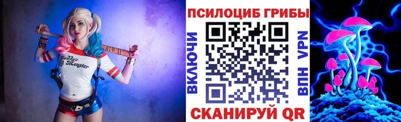 Псилоцибиновые грибы прущие грибы  Белинский 