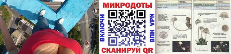 Псилоцибиновые грибы MAGIC MUSHROOMS Белинский